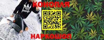гидра Будённовск