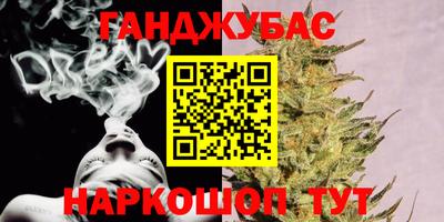 гидра Будённовск