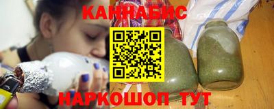 гидра Будённовск