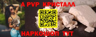 гидра Будённовск