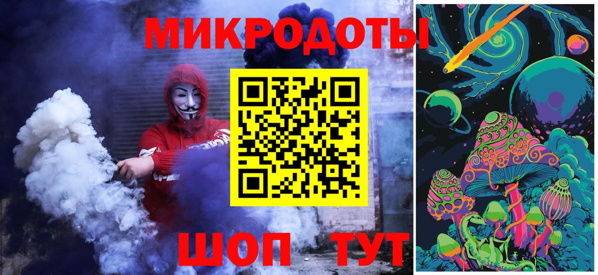 Псилоцибиновые грибы Psilocybe Обь
