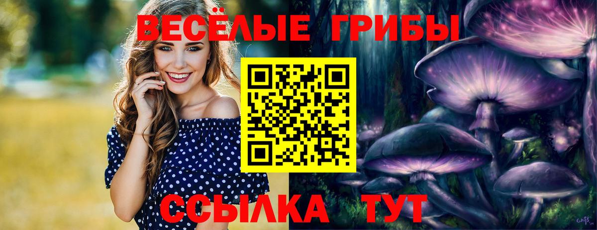 Галлюциногенные грибы Psilocybine cubensis  Вход с VPN  Галлюциногенные грибы Cubensis  Обь 